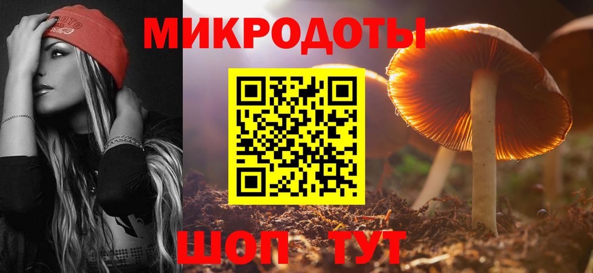 Псилоцибиновые грибы Cubensis Холмск